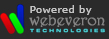 A Web Design Company Delhi, India
